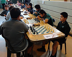 Takapuna in the last round